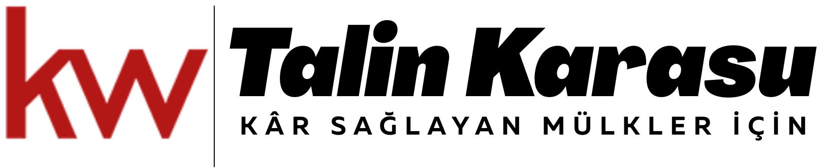 Talin Karasu Gayrimenkul Danışmanlığı - Ana sayfa